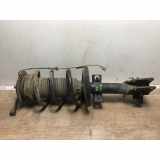 Federbein Links Vorne 5430300Q1C Nissan Interstar Van 2.3 dCi 135 16V (M9T-716(M9T-F7)) 2022