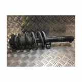 Federbein Rechts Vorne 1T0413031GP Volkswagen Eos (1F7/F8) Cabrio 2.0 TDI DPF (BMM) 2007 BMM