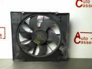 Kühlerlüfter 7701070217 Renault Megane (BA)