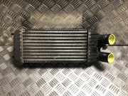 Ladeluftkühler 9803900780 Citroën C3 (SC) Schrägheck 5-drs 1.4 HDi (DV4C(8HR))