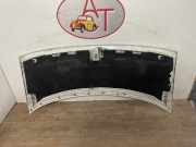 Motorhaube 7901H2 Citroën JUMPY 1 PHASE 1