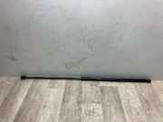 Gasdruckfeder Vorne Audi A4 (B8) Limousine 2.0 TDI 16V (CSUB)