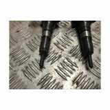 Kraftstoff-Injector 166008399R Volkswagen Passat (3C2) Limousine 2.0 TDI 16V 140 (BKP) 2007 BKP