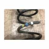 Schraubenfeder Hinten 9813719680 Citroën C3 Aircross I (2C/2R) SUV 1.2 e-THP PureTech 110 (EB2DT(HNZ)) 2018