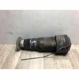 Stoßdämpfer Links Hinten Citroën C4 Picasso (UD/UE/UF) Großraumlimousine 2.0 HDiF 16V 135 (DW10BTED4(RHJ)) 2007