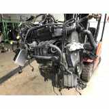 Motor 036100034R Volkswagen New Beetle (1Y7) Cabrio 1.4 16V (BCA) 2003 BCA