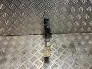 Gaspedalsensor Audi A6 Avant (C7) Kombi 2.0 TDI 16V (DDCB)