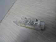 Kennzeichenbeleuchtung Peugeot 1007 (KM) Schrägheck 3-drs 1.6 GTI,Gentry 16V (TU5JP4(NFU))