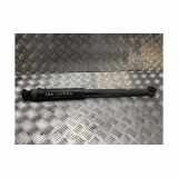 Stoßdämpfer Rechts Hinten 562109129R Renault Captur II (RJB) SUV 1.3 Mild Hybrid 140, TCe 140 16V (H5H-490(H5H-E4)) 2021