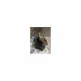 Achsschenkel Links Hinten Peugeot 208 II (UB/UH/UP) Schrägheck 5-drs 1.2 Vti 12V PureTech 100 (EB2ADT(HNK)) 2023