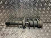 Federbein Rechts Vorne 5Q0413023HJ Skoda Octavia (5EAA) Liftback 1.6 TDI GreenTec 16V (CLHA)