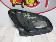 T?rgriff Au?en Links Vorne STEUN Citro?n Berlingo