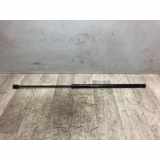 Gasdruckfeder Vorne Volkswagen New Beetle (1Y7) Cabrio 1.9 TDI (BSW) 2007 BSW