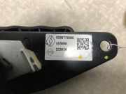 T?rgriff Innen Links ACHTERKLEP 8200778366 Nissan Interstar Van 2.3 dCi 135 16V (M9T-716(M9T-F7))