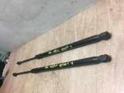 Gasdruckfeder Hinten 3G9827550C Volkswagen Passat Variant (3G5) Kombi 2.0 TDI 16V 190 4Motion (DFHA) DFHA