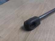 Gasdruckfeder Vorne Citroën C3 (FC/FL/FT) Schrägheck 5-drs 1.4 HDi (DV4TD(8HZ))