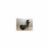 Luftfiltergehäuse 165003255R Renault 3 PHASE 1 0.9i - 12V TURBO TCE 90 2015