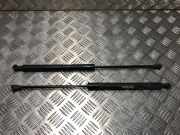 Gasdruckfeder Hinten 00008731T9 Citroën C3 (SC) Schrägheck 5-drs 1.6 HDi 92 (DV6DTED(9HP))