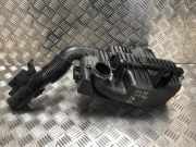 Luftfiltergehäuse Citroën C3 (SX/SW) Schrägheck 1.2 Vti 12V PureTech (EB2FA(HMR))