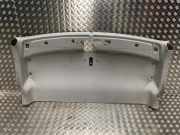 Verkleidung Himmel Ford Transit Van 2.2 TDCi 16V (CYF5)