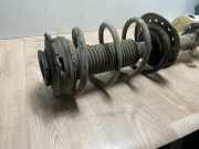 Federbein Links Vorne E4303JG71A Nissan X-Trail (T31) SUV 2.0 SE,LE dCi 16V 4x4 (M9R-760)