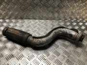 Uitlaat Rohr Vorne 9802028680 DS DS 4/DS 4 Crossback (NX) Schr?gheck 1.6 BlueHDI 120 (DV6FC(BHZ)) DV6FC(BHZ)