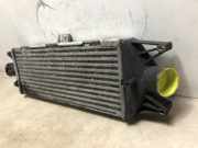 Ladeluftkühler Iveco New Daily III Van 35C12V,S12V (F1AE0481B(Euro 3))