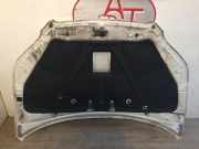 Motorhaube 95164301 Daewoo / Chevrolet Aveo (250) Schrägheck 1.2 16V (B12D1)