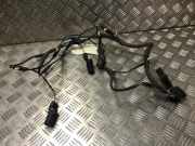 Pdc Sensor Set C2C29376XXX Jaguar S-type (X200) Limousine 2.7 D 24V (7B)