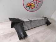 Ladeluftkühler 17517524916 BMW 3 serie (E90)