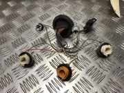 Kennzeichenbeleuchtung RECHTS Skoda Fabia II (5J) Schrägheck 5-drs 1.2i 12V (CGPB)