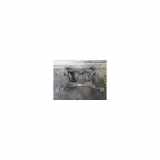 Hinterachse Komplett 7L0599030P Volkswagen Touareg (7LA/7L6) SUV 3.0 TDI V6 24V (BKS) 2005