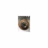 Bremsscheibe Rechts Hinten 34216886479 BMW X5 (E70) SUV xDrive 35d 3.0 24V (M57-D30(306D5)) 2007