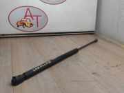 Gasdruckfeder Hinten 6896002032 Toyota Corolla (E12) Schrägheck 1.4 D-4D 16V (1NDTV)