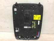 Innenbeleuchtung PLAFOND BMW 5 serie (G30) Limousine 530e iPerformance (B48-B20A)