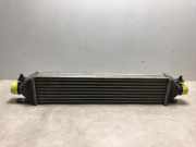 Ladeluftkühler Fiat Bravo (198A) Schrägheck 1.6 JTD Multijet 120 (198.A.2000)