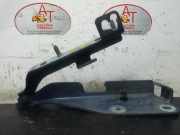 T?rscharniere Rechts Vorne Citro?n C3 Pluriel (HB) Cabrio 1.4 HDi (DV4TD(8HX)) DV4TD(8HX)