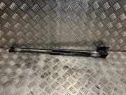 Gasdruckfeder Hinten 9806879180 Citroën C4 Picasso (3D/3E) Großraumlimousine 1.6 e-Hdi, BlueHDi 115 (DV6C(9HC))