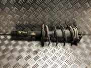 Federbein Rechts Vorne 6Q0413031BM Volkswagen Polo IV (9N1/2/3) Schr?gheck 1.2 12V (AZQ) AZQ