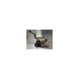 Tank Renault Clio IV (5R) Schrägheck 5-drs 1.5 dCi 75 FAP (K9K-612(K9K-C6)) 2012