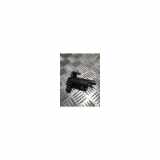 Scheibenwaschpumpe Vorne 0000643475 Citroën C3 (SX/SW) Schrägheck 1.2 Vti 12V PureTech (EB2FA(HMR)) 2022