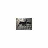 Hauptzylinder 36012755 Volvo XC90 II SUV 2.0 D5 16V AWD (D4204T11) 2015