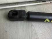 Gasdruckfeder Vorne 8L0823359 Volkswagen Bora (1J2) Limousine 1.6 (AKL) AKL