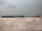 Gasdruckfeder Hinten 00008731E0 Citroën Berlingo Cinqspace, Multispace Großraumlimousine 2.0 HDI (DW10TD(RHY))