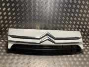 Grill 00007804R2 Citroën Jumpy (G9) Van 1.6 HDI 16V (DV6UTED4(9HU))