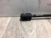 Gasdruckfeder Hinten 8E5827552J Audi A4 (B6) Limousine 1.9 TDI 115 (BKE)