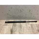 Gasdruckfeder Rechts Hinten 51247250308 BMW 3 serie (E90) Limousine 318d 16V (M47N(204D4)) 2006
