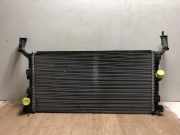 Radiator 214100004R Renault Laguna III Estate (KT) Kombi 2.0 dCi 16V 130 (M9R-802) 2008