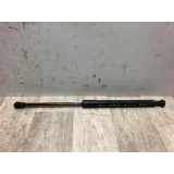 Gasdruckfeder Vorne 51237060550 BMW 3 serie (E90) Limousine 318d 16V (M47-D20(204D4)) 2006