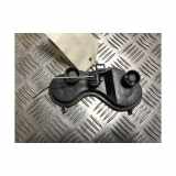 Kennzeichenbeleuchtung RECHTS Renault Megane II (BM/CM) Schrägheck 1.4 16V 98 (K4J-730) 2003